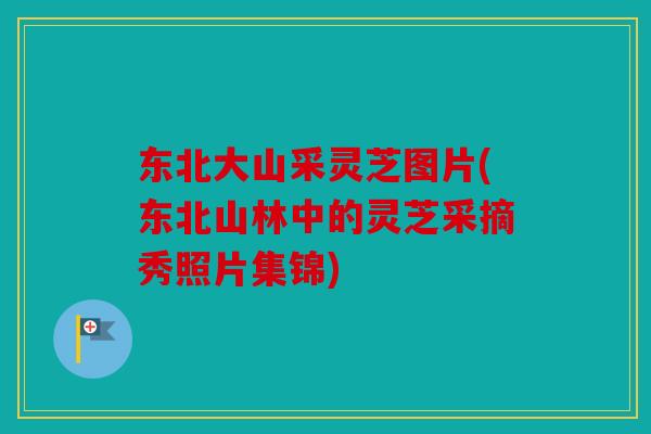 东北大山采灵芝图片(东北山林中的灵芝采摘秀照片集锦)