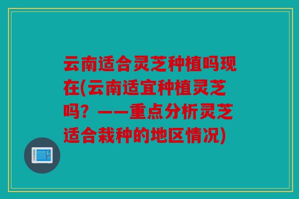 云南适合灵芝种植吗现在(云南适宜种植灵芝吗？——重点分析灵芝适合栽种的地区情况)