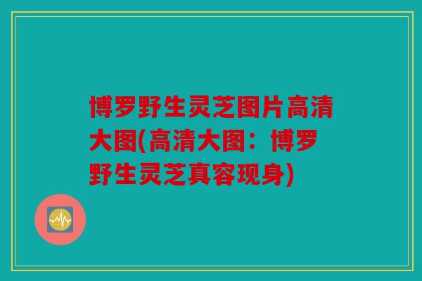 博罗野生灵芝图片高清大图(高清大图：博罗野生灵芝真容现身)