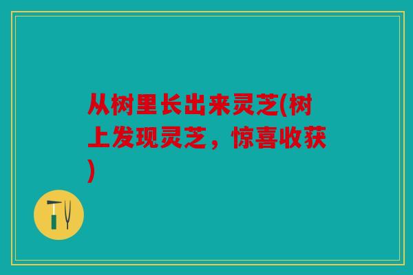 从树里长出来灵芝(树上发现灵芝，惊喜收获)