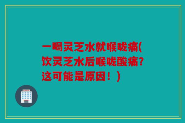 一喝灵芝水就喉咙痛(饮灵芝水后喉咙酸痛？这可能是原因！)