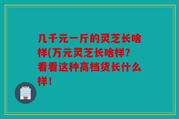 几千元一斤的灵芝长啥样(万元灵芝长啥样？看看这种高档货长什么样！