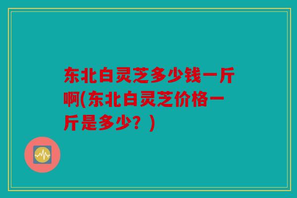 东北白灵芝多少钱一斤啊(东北白灵芝价格一斤是多少？)