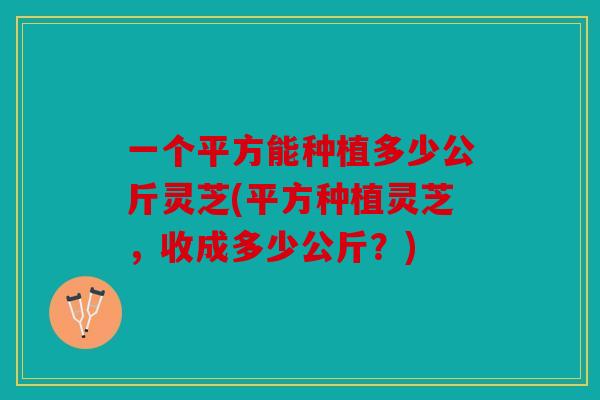 一个平方能种植多少公斤灵芝(平方种植灵芝，收成多少公斤？)