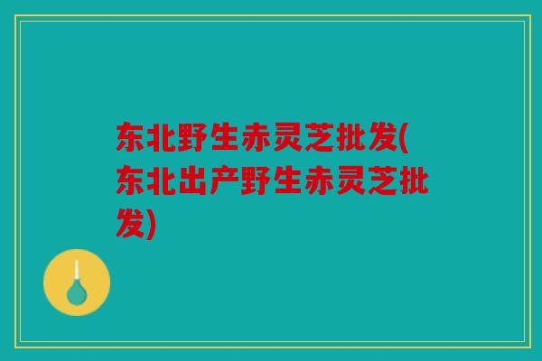东北野生赤灵芝批发(东北出产野生赤灵芝批发)