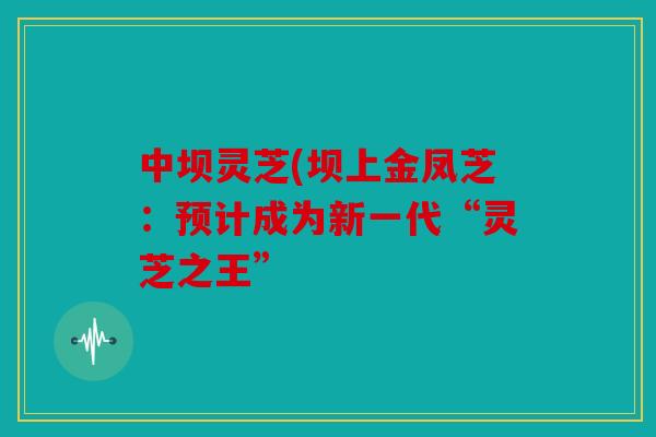 中坝灵芝(坝上金凤芝：预计成为新一代“灵芝之王”