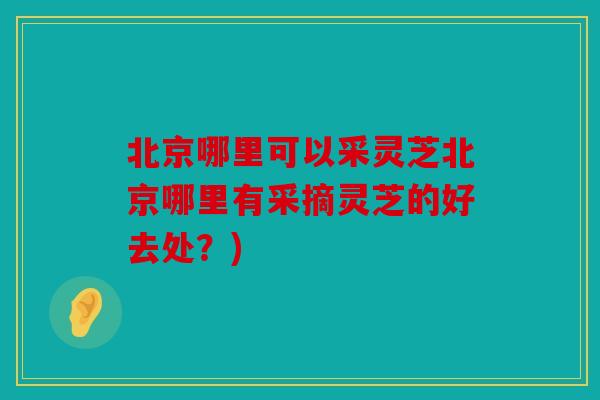 北京哪里可以采灵芝北京哪里有采摘灵芝的好去处？)