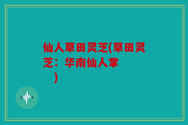 仙人草田灵芝(草田灵芝：华南仙人掌      )