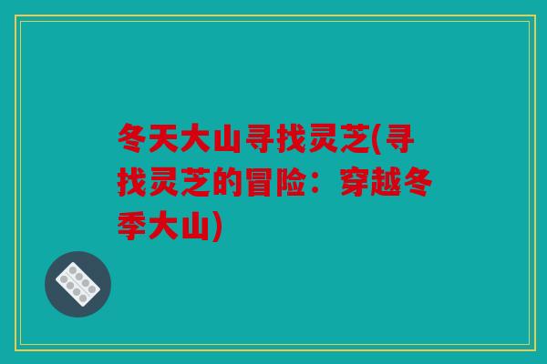 冬天大山寻找灵芝(寻找灵芝的冒险：穿越冬季大山)