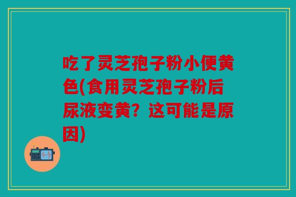 吃了灵芝孢子粉小便黄色(食用灵芝孢子粉后尿液变黄？这可能是原因)