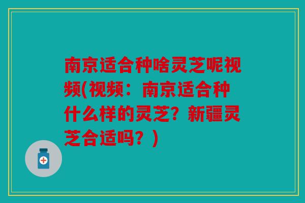 南京适合种啥灵芝呢视频(视频：南京适合种什么样的灵芝？新疆灵芝合适吗？)