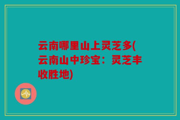 云南哪里山上灵芝多(云南山中珍宝：灵芝丰收胜地)