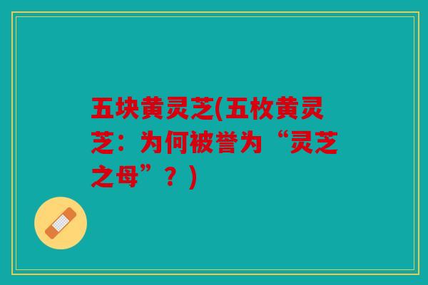 五块黄灵芝(五枚黄灵芝：为何被誉为“灵芝之母”？)