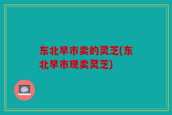 东北早市卖的灵芝(东北早市现卖灵芝)
