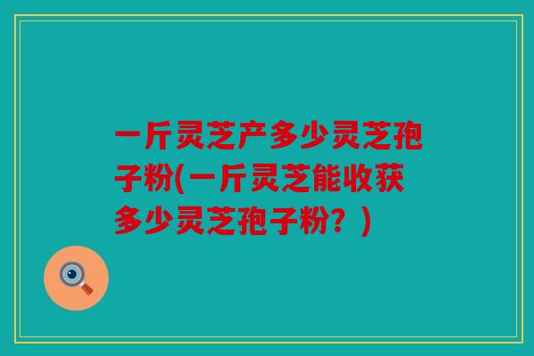 一斤灵芝产多少灵芝孢子粉(一斤灵芝能收获多少灵芝孢子粉？)