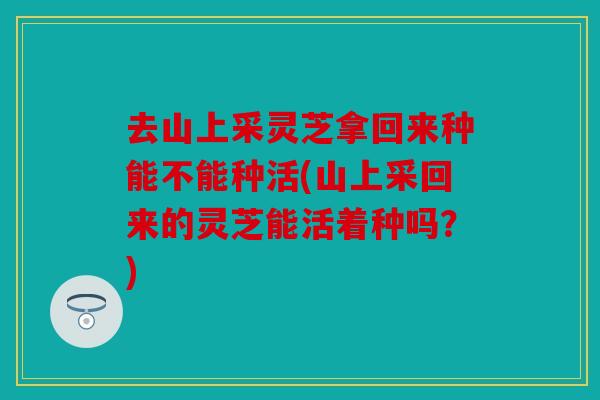 去山上采灵芝拿回来种能不能种活(山上采回来的灵芝能活着种吗？)
