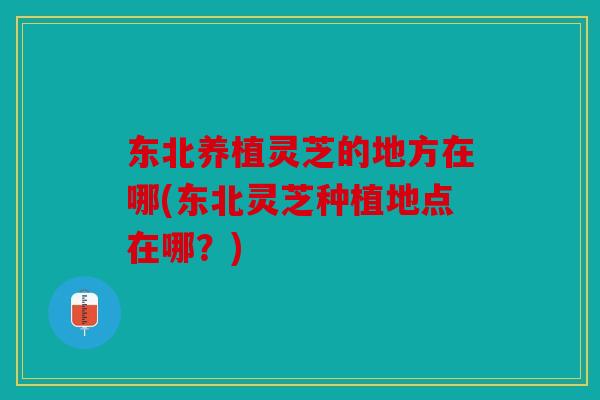 东北养植灵芝的地方在哪(东北灵芝种植地点在哪？)