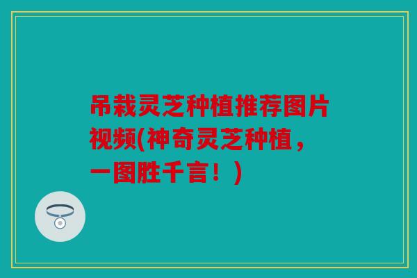 吊栽灵芝种植推荐图片视频(神奇灵芝种植，一图胜千言！)