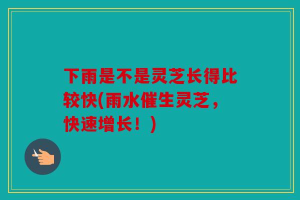 下雨是不是灵芝长得比较快(雨水催生灵芝，快速增长！)