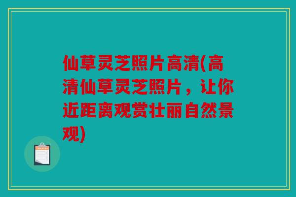 仙草灵芝照片高清(高清仙草灵芝照片，让你近距离观赏壮丽自然景观)