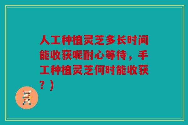 人工种植灵芝多长时间能收获呢耐心等待，手工种植灵芝何时能收获？)
