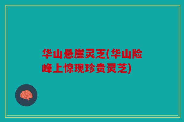 华山悬崖灵芝(华山险峰上惊现珍贵灵芝)
