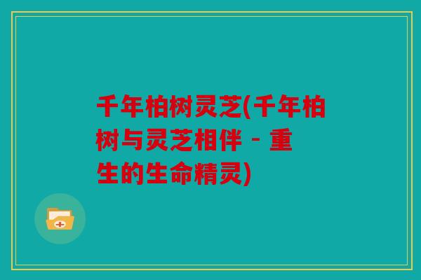 千年柏树灵芝(千年柏树与灵芝相伴 - 重生的生命精灵)