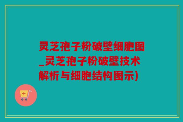 灵芝孢子粉破壁细胞图_灵芝孢子粉破壁技术解析与细胞结构图示)