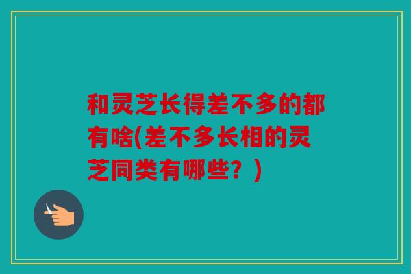 和灵芝长得差不多的都有啥(差不多长相的灵芝同类有哪些？)