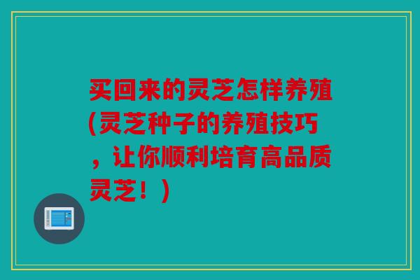 买回来的灵芝怎样养殖(灵芝种子的养殖技巧，让你顺利培育高品质灵芝！)