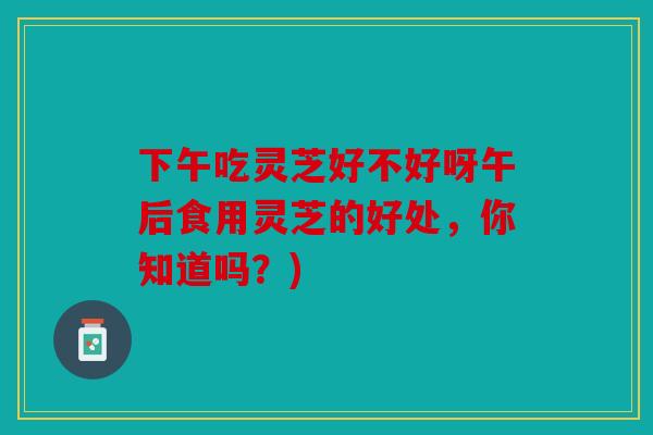 下午吃灵芝好不好呀午后食用灵芝的好处，你知道吗？)