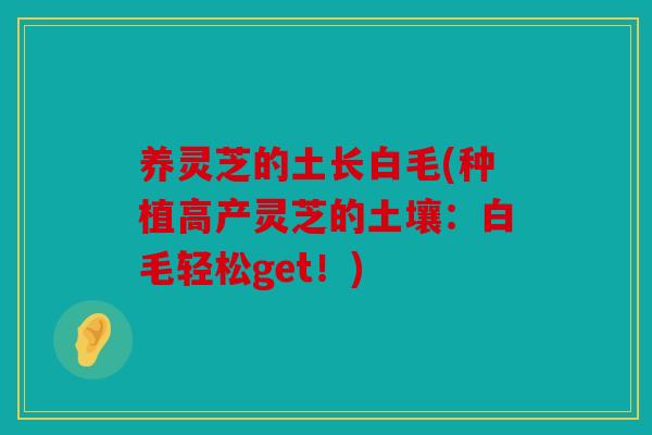 养灵芝的土长白毛(种植高产灵芝的土壤：白毛轻松get！)