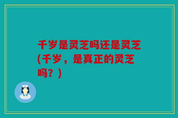 千岁是灵芝吗还是灵芝(千岁，是真正的灵芝吗？)