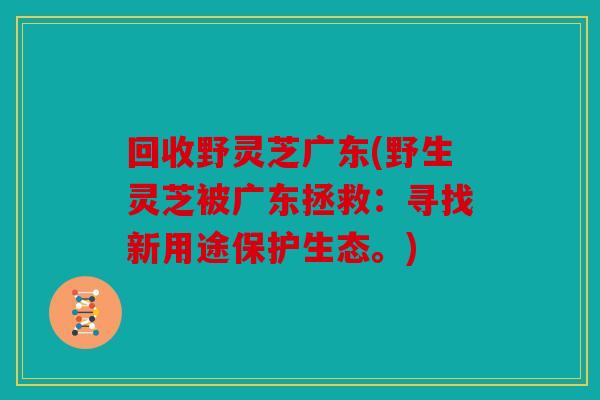 回收野灵芝广东(野生灵芝被广东拯救：寻找新用途保护生态。)