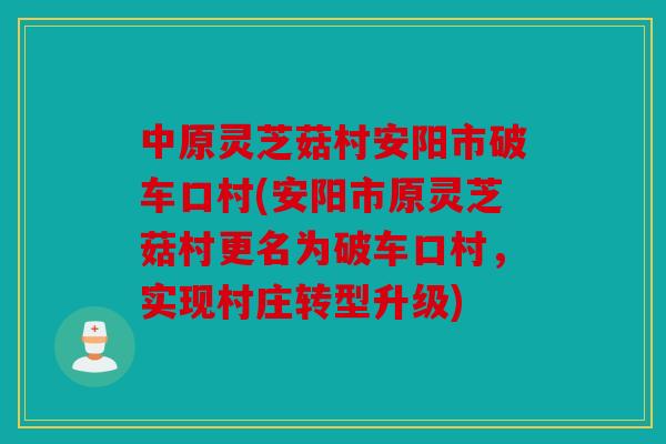 中原灵芝菇村安阳市破车口村(安阳市原灵芝菇村更名为破车口村，实现村庄转型升级)