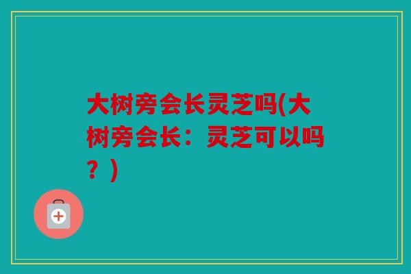 大树旁会长灵芝吗(大树旁会长：灵芝可以吗？)