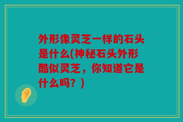 外形像灵芝一样的石头是什么(神秘石头外形酷似灵芝，你知道它是什么吗？)