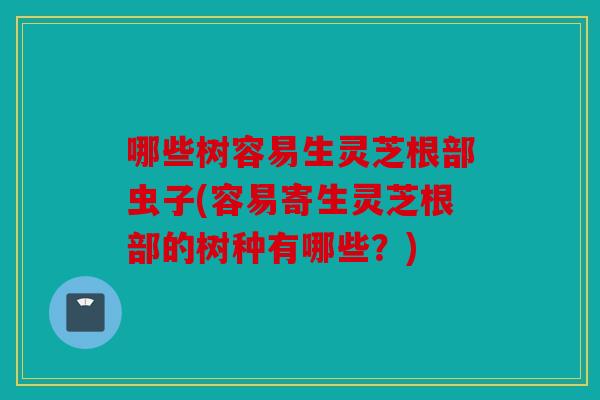 哪些树容易生灵芝根部虫子(容易寄生灵芝根部的树种有哪些？)