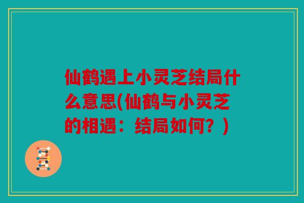 仙鹤遇上小灵芝结局什么意思(仙鹤与小灵芝的相遇：结局如何？)
