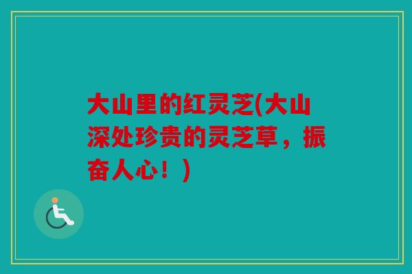 大山里的红灵芝(大山深处珍贵的灵芝草，振奋人心！)