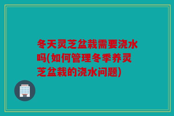 冬天灵芝盆栽需要浇水吗(如何管理冬季养灵芝盆栽的浇水问题)