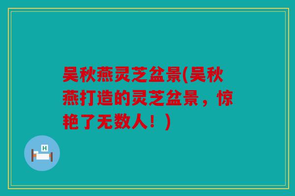 吴秋燕灵芝盆景(吴秋燕打造的灵芝盆景，惊艳了无数人！)