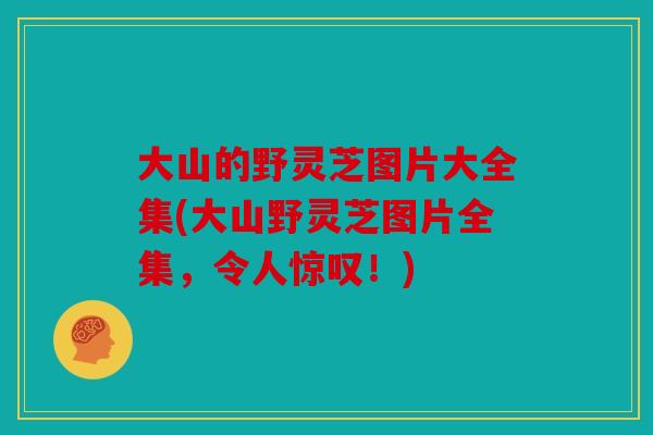 大山的野灵芝图片大全集(大山野灵芝图片全集，令人惊叹！)