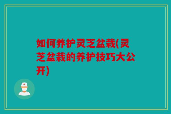如何养护灵芝盆栽(灵芝盆栽的养护技巧大公开)