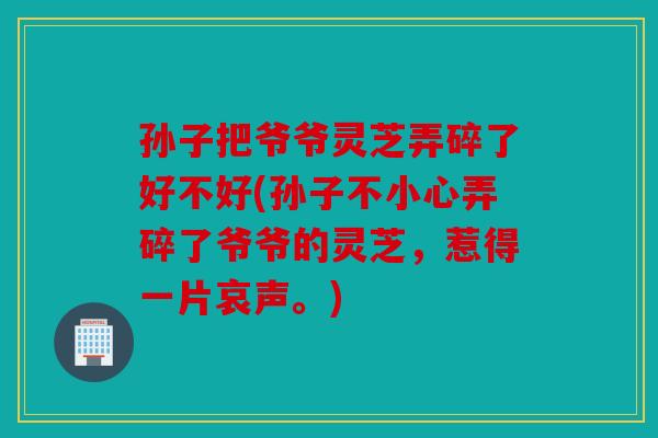 孙子把爷爷灵芝弄碎了好不好(孙子不小心弄碎了爷爷的灵芝，惹得一片哀声。)