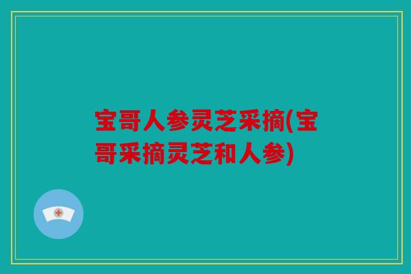 宝哥人参灵芝采摘(宝哥采摘灵芝和人参)