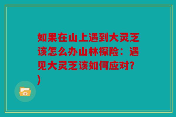如果在山上遇到大灵芝该怎么办山林探险：遇见大灵芝该如何应对？)