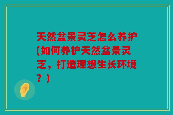 天然盆景灵芝怎么养护(如何养护天然盆景灵芝，打造理想生长环境？)