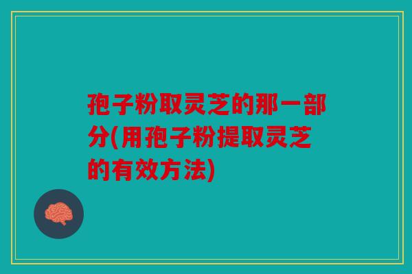 孢子粉取灵芝的那一部分(用孢子粉提取灵芝的有效方法)