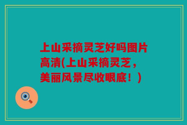 上山采摘灵芝好吗图片高清(上山采摘灵芝，美丽风景尽收眼底！)